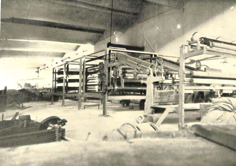 Calamai Figli Di M 2